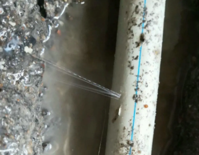 扎囊测漏水哪家好